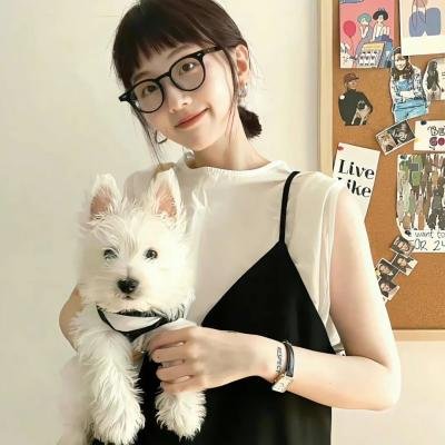 战鼎第三季